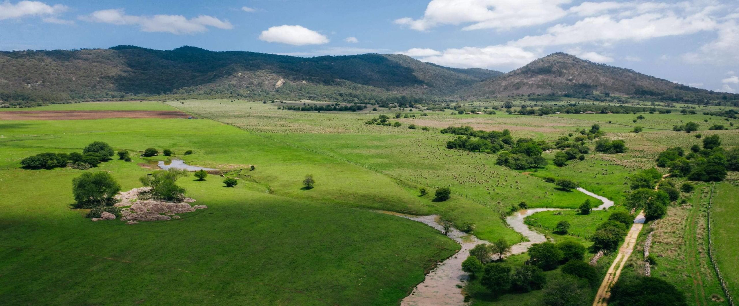 rancho san martin